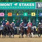 how to bet on the belmont stakes